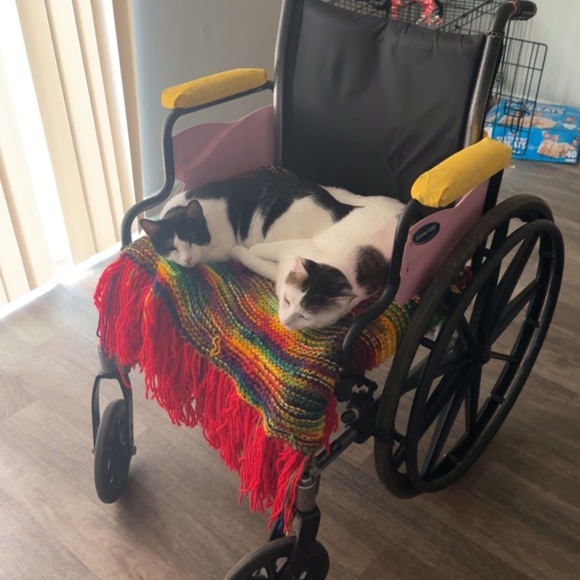 Meet your Posher, Sunny ☀️ - Picture 7 of 17